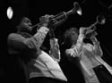jazzit_sw0939430