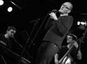 jazzit_sw1126293
