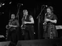 jazzit_sw1234483