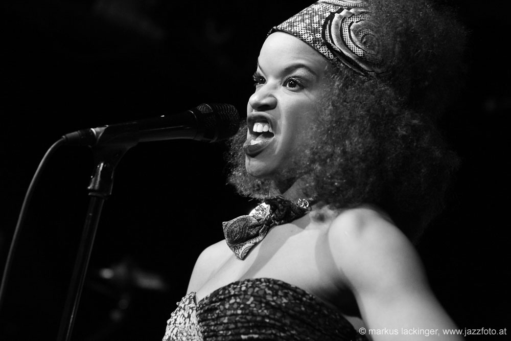 jazzit_sw131205341