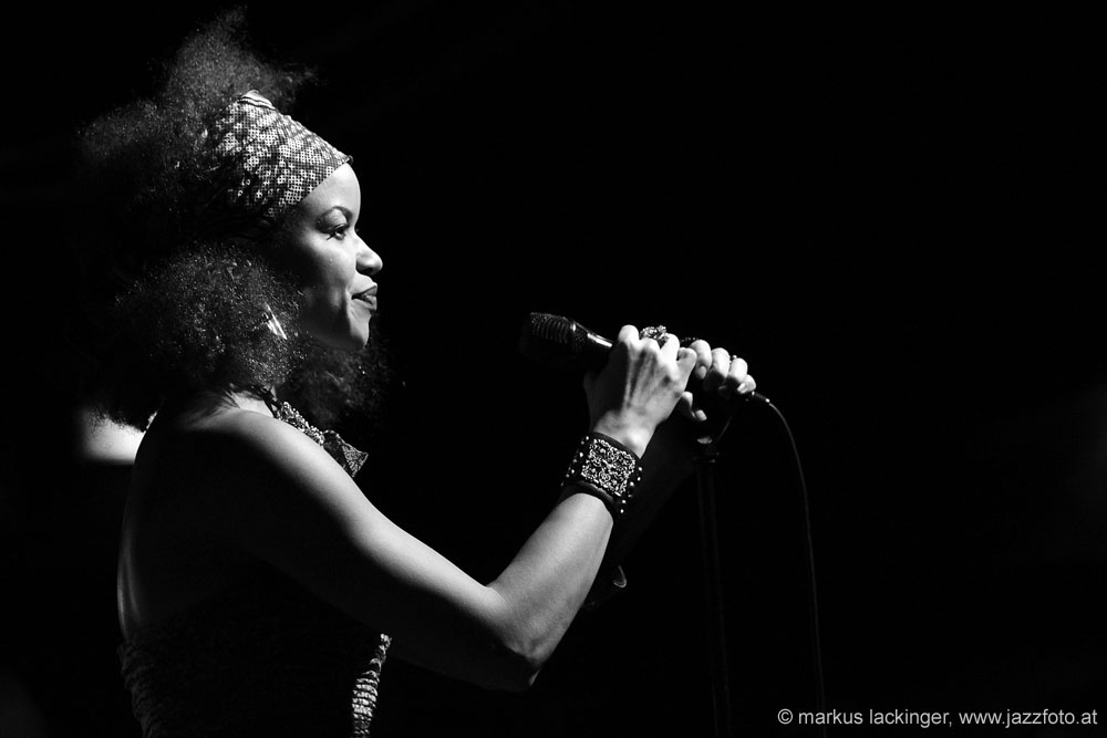 jazzit_sw131205694