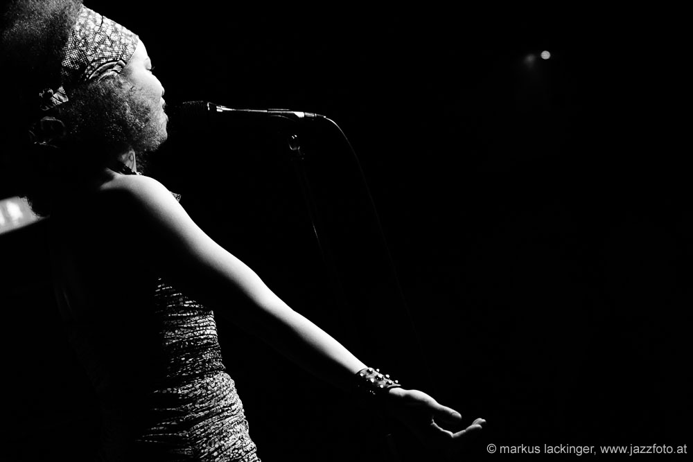jazzit_sw131205724