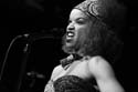 jazzit_sw131205341