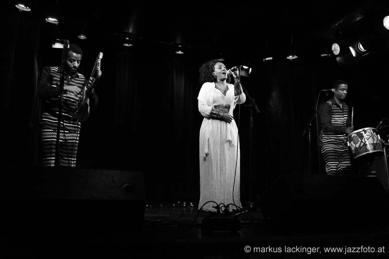 jazzit_sw13402417