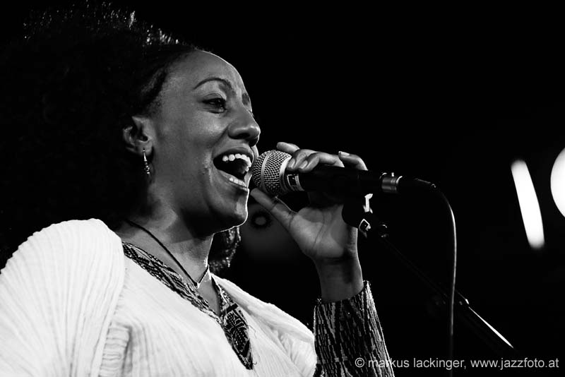 jazzit_sw13402461