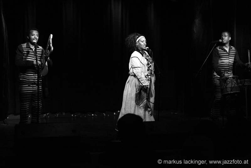 jazzit_sw13402666