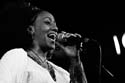 jazzit_sw13402461
