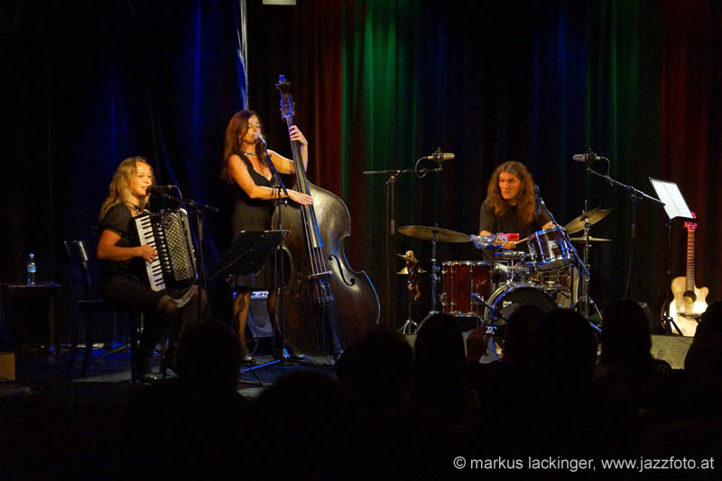 jazzit_13908994