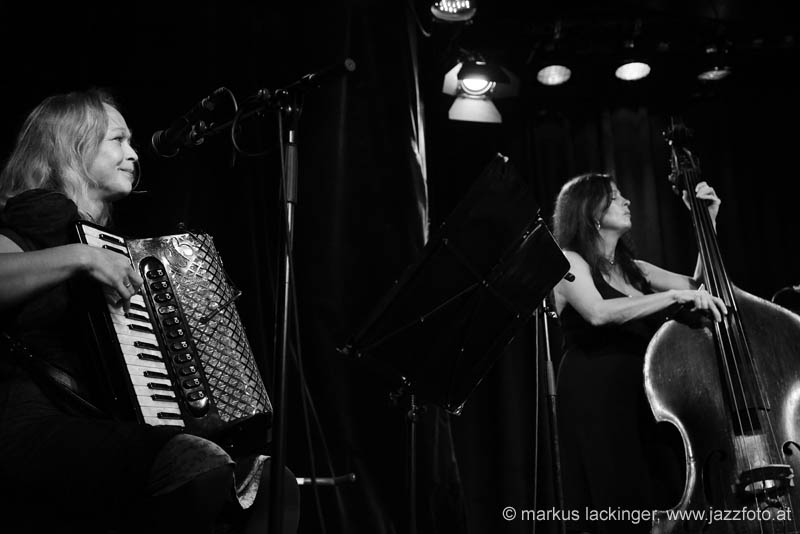 jazzit_sw13908914