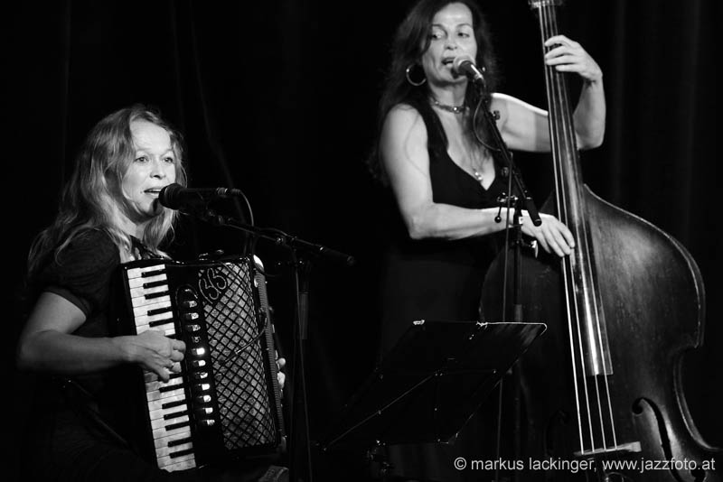 jazzit_sw13909016
