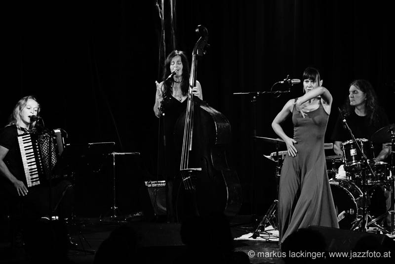 jazzit_sw13909029