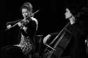 jazzit_sw1428523