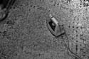 1_jazzit_sw18107194
