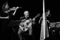 jazzit_sw191205908