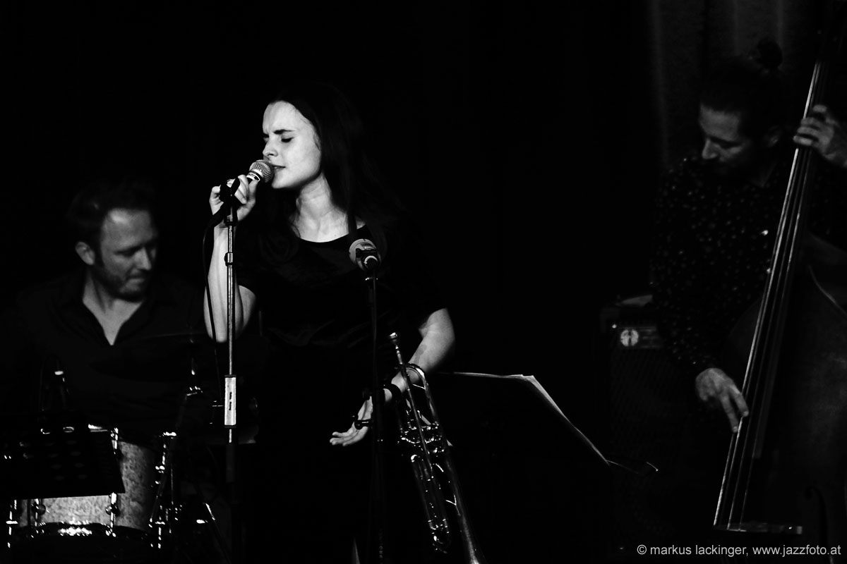 Jazzit_sw20709959