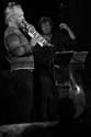 jazzit_sw_a7401736