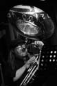 jazzit_sw_a74-22300361