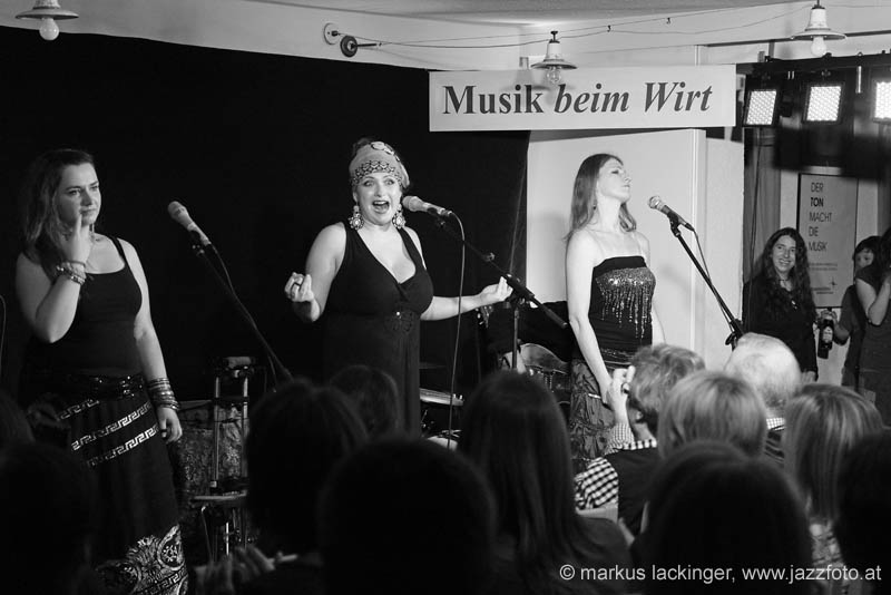 dikanda_sw131102931