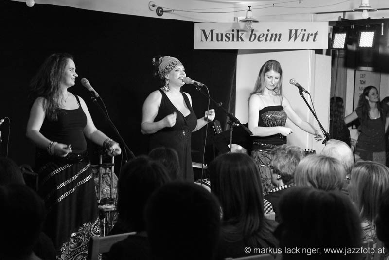 dikanda_sw131102935